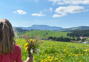 Frühlingsfrisches Erwachen / Frühling