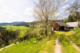Zufahrt zum Haus Wildblick