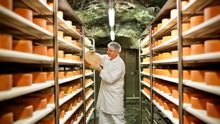 Stollenkäse & Milchprodukte / Spezialitäten